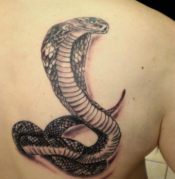 Все про трактование змеи в татуировках